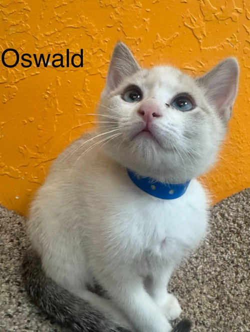 Oswald