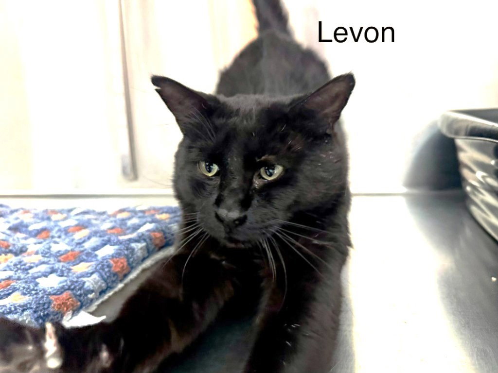 Levon