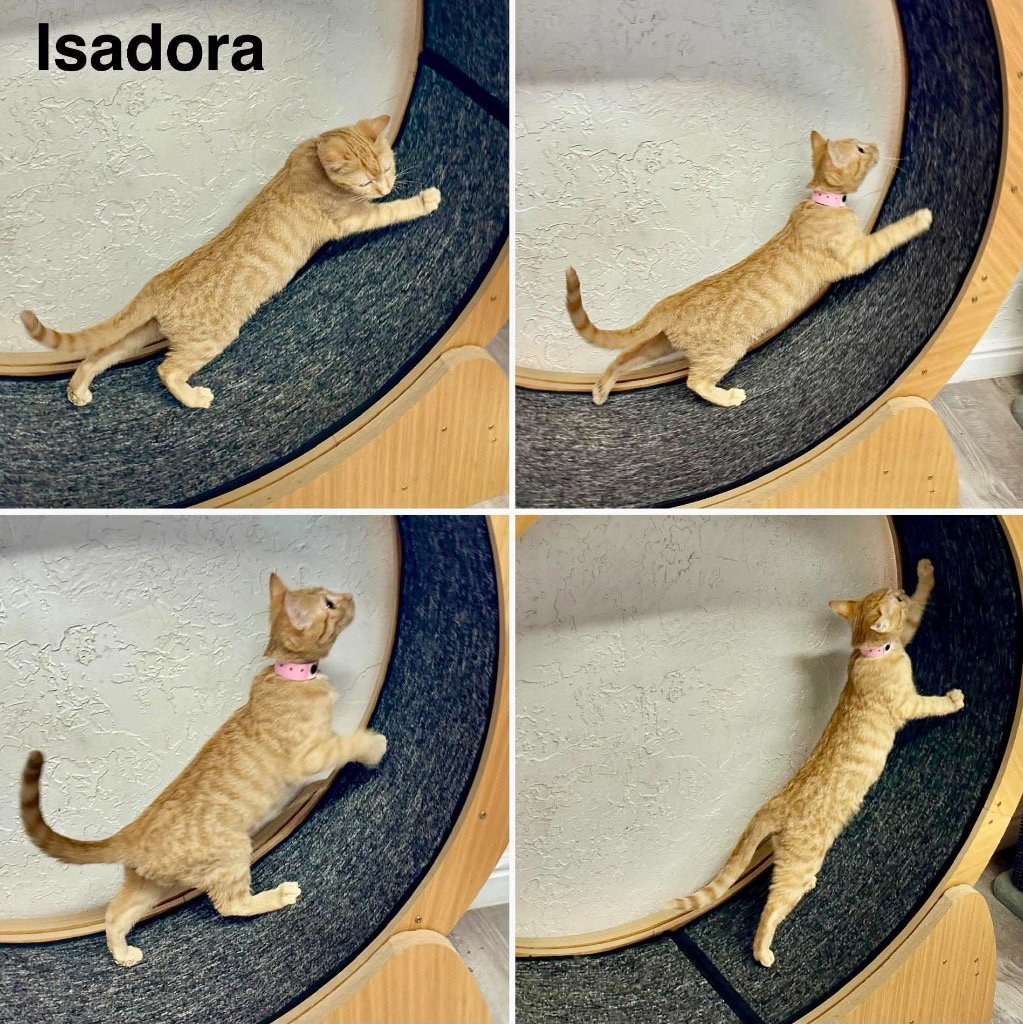 Isadora