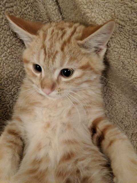 Gene, photo 2