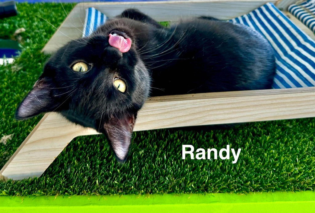 Randy