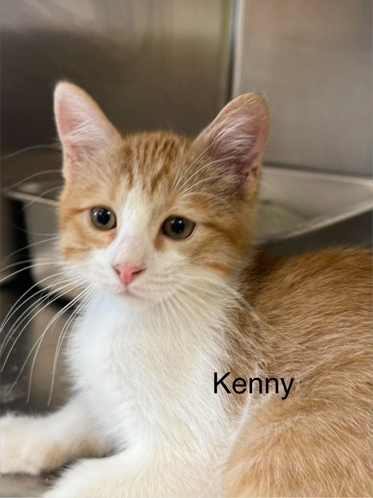 Kenny