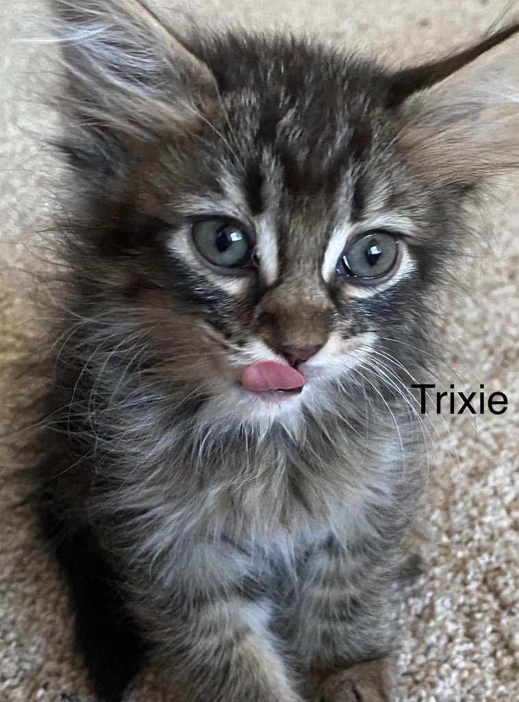 Trixie