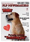 adoptable Dog in golden valley, AZ named Rambo