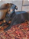 Dieter - Photo 1