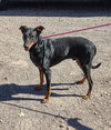 Dieter - Photo 3