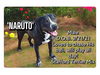 adoptable Dog in valley, AL named Naruto