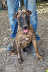 Kaizer - Photo 1