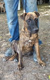 Kaizer - Photo 2