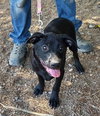 Ukiah - Photo 1