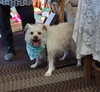 Charlie - Photo 1