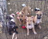 Linus, Axle - Photo 3