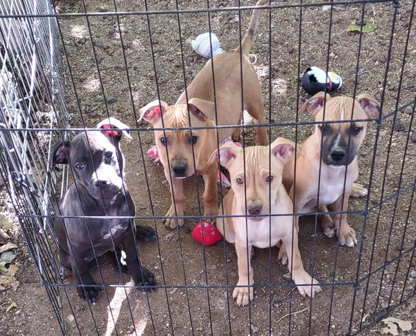 Markus, Linus, Lukas, Axle