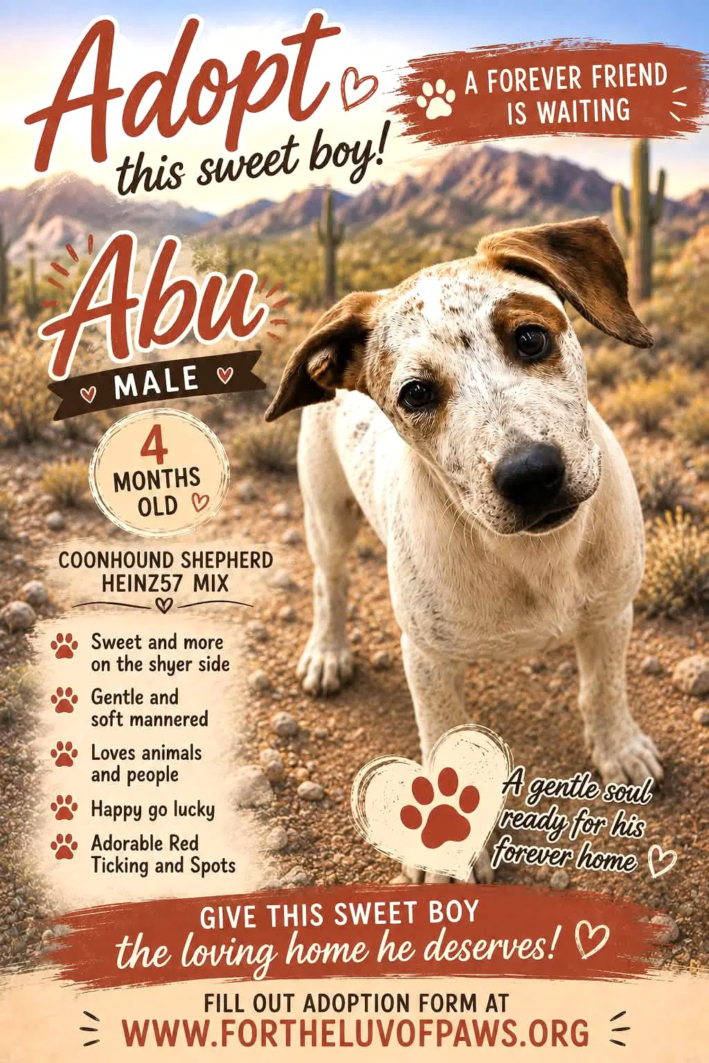 Abu - Coonhound