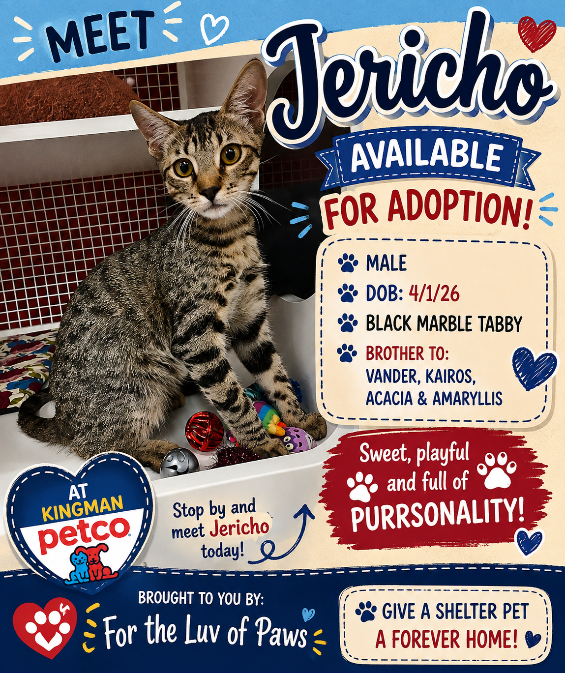 Jericho, Tabby