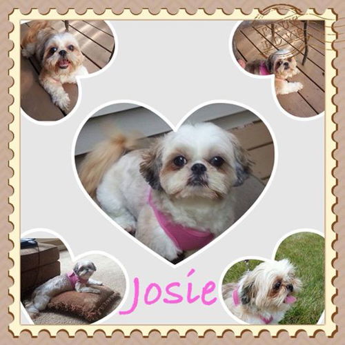 Josie