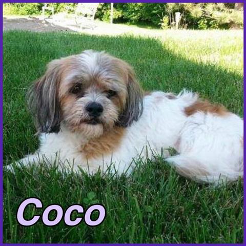 Coco