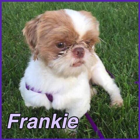 Frankie