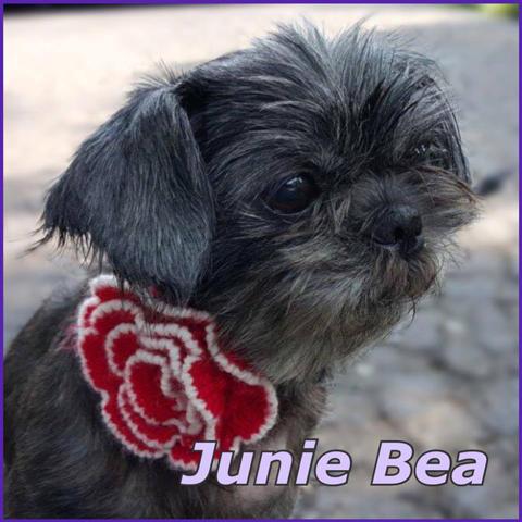 Junie Bea