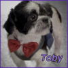 Toby