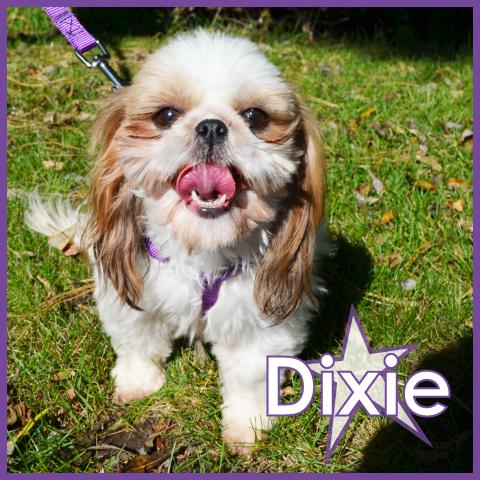 Dixie