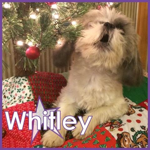 Whitley