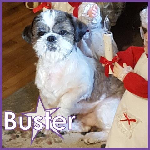 Buster III
