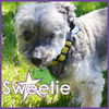 Sweetie II