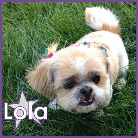 Lola