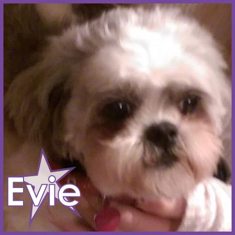 Evie