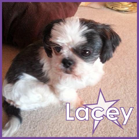 Lacey