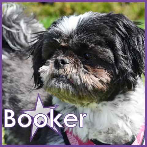 Booker