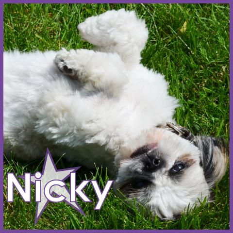 Nicky