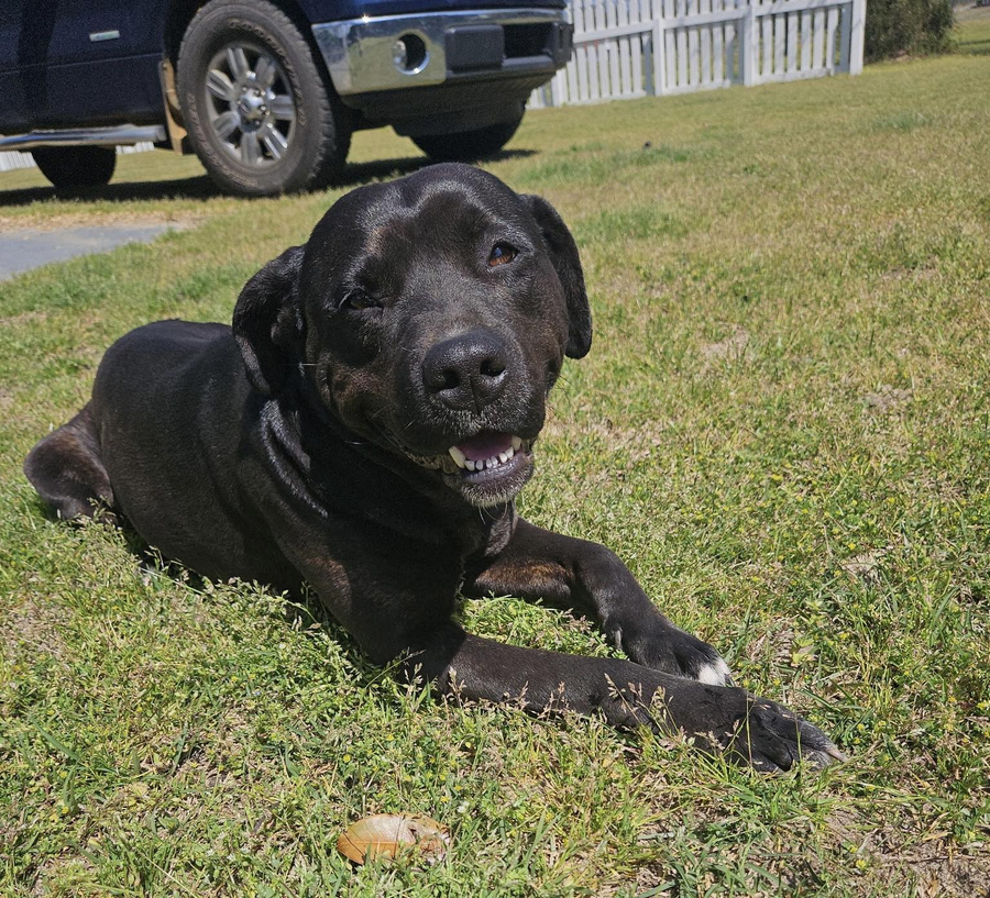 Betty