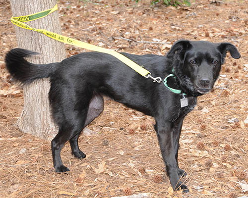Nyla photo 6