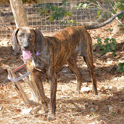 Sally photo 2