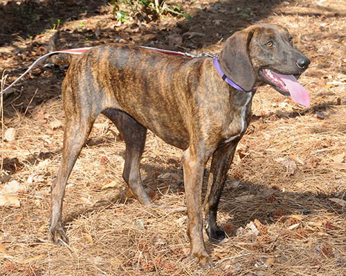 Sally photo 3