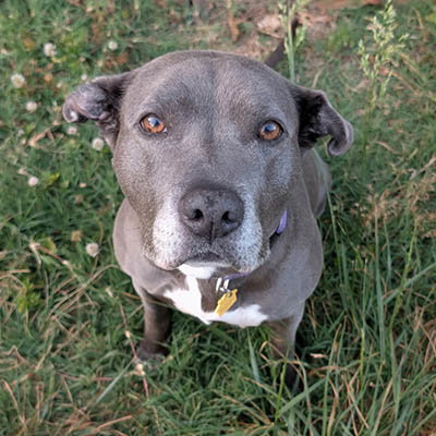 Ellie photo 4