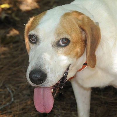 Duncan, photo 2