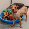 Red - LONG TERM 6*30*25-Fee Waived - Photo 3