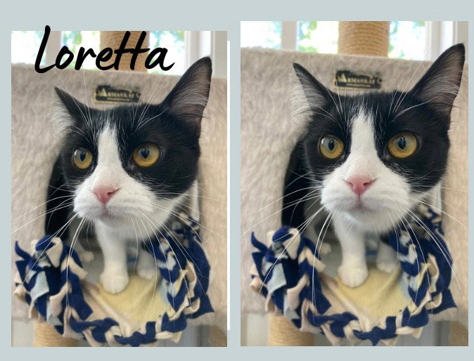 Loretta Lynn- LONG TERM 8*13*25