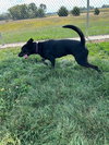 Molly - Photo 2