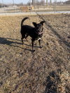 Molly - Photo 3