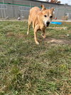 Hudson - Photo 3