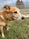 Hudson - Photo 4
