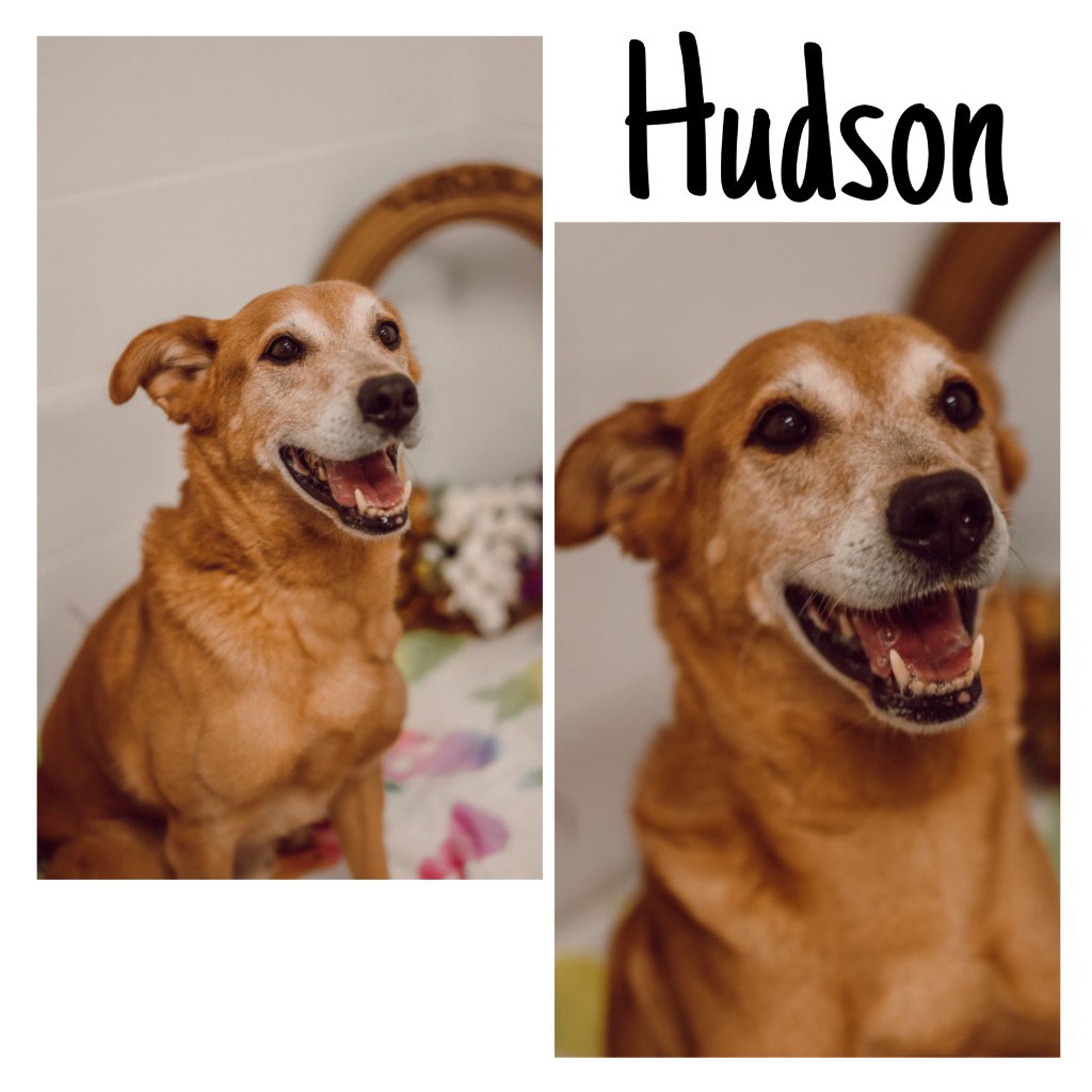 Hudson Image
