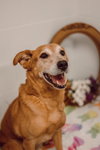 Hudson - Photo 3