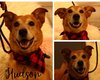 Hudson - Photo 4