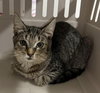Casey- herpes- LONG TERM 5*20*25 - Photo 3