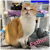 Esther - Photo 3